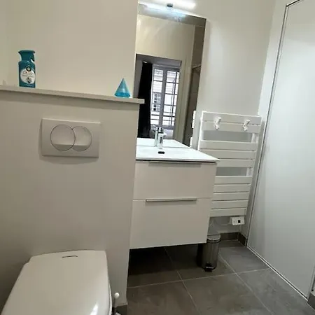 Ferienwohnung Le Bijou Du Martroi Orléans Exterior foto